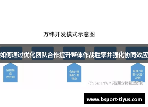 如何通过优化团队合作提升整体作战胜率并强化协同效应