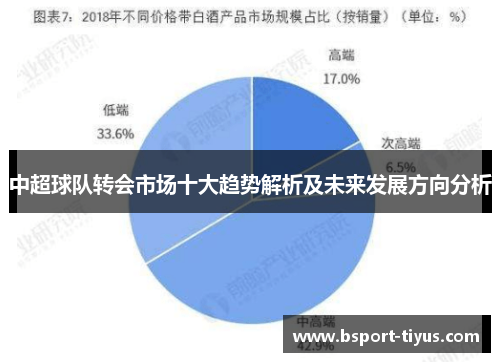 中超球队转会市场十大趋势解析及未来发展方向分析