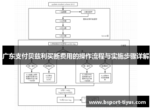 广东支付贝兹利买断费用的操作流程与实施步骤详解