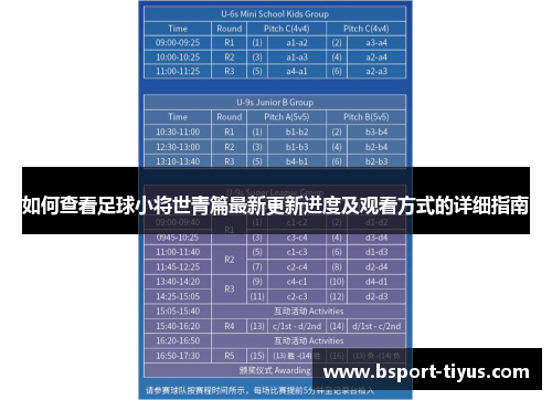 如何查看足球小将世青篇最新更新进度及观看方式的详细指南